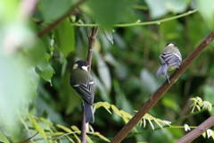 背中綺麗でしょ