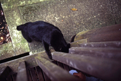 なに覗いてるの