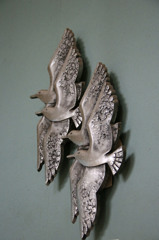 カモメさん飛んでます