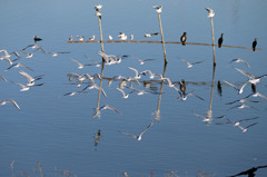 にぎやかな一日