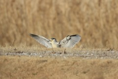 半ぶん埋まってます