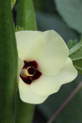 だいたんにひっそりと