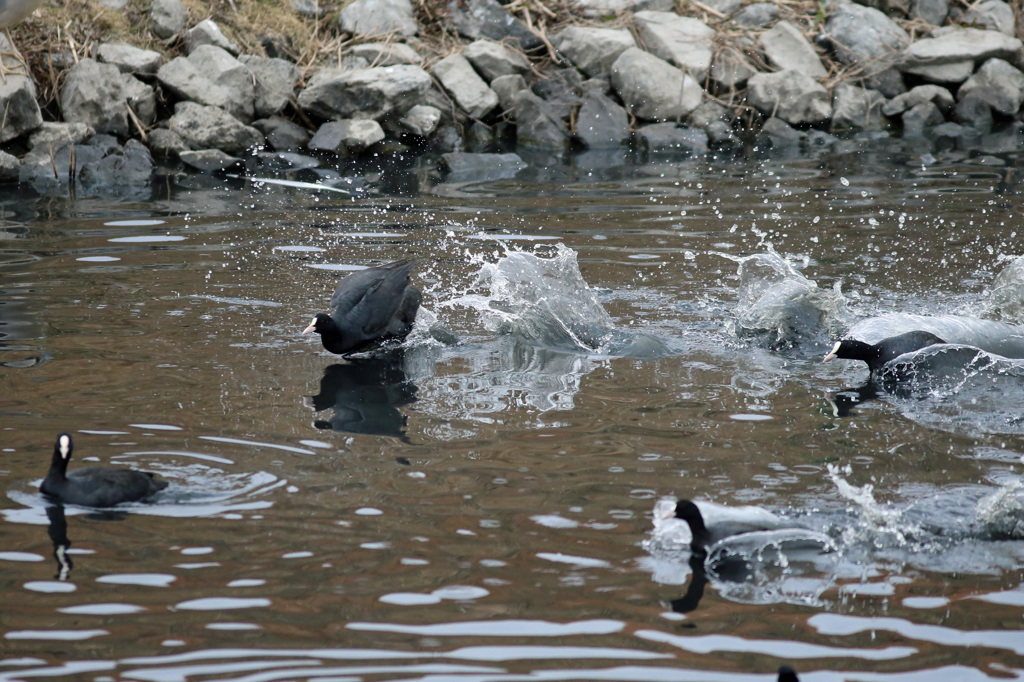 後ろで何か騒がしい