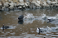 後ろで何か騒がしい