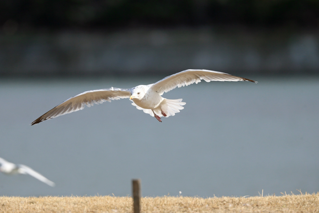 日差しを浴びて