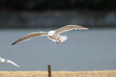 日差しを浴びて
