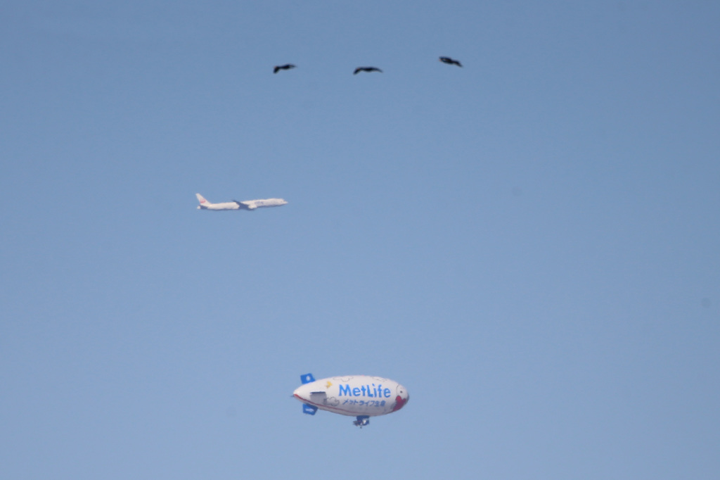 カワウ旅客機飛行船