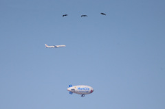 カワウ旅客機飛行船