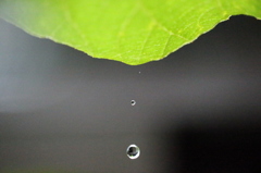 雨だれー3