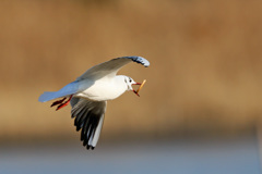 開いた口がふさがらない