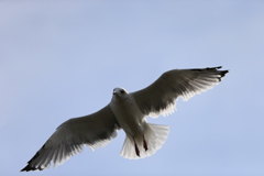 日差しを浴びて