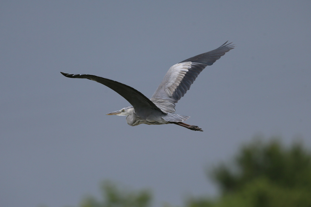 後ろ姿もかっこいい