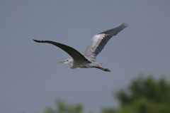 後ろ姿もかっこいい