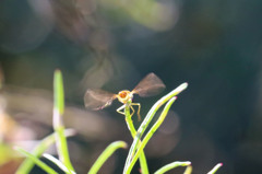 お尻から失礼します