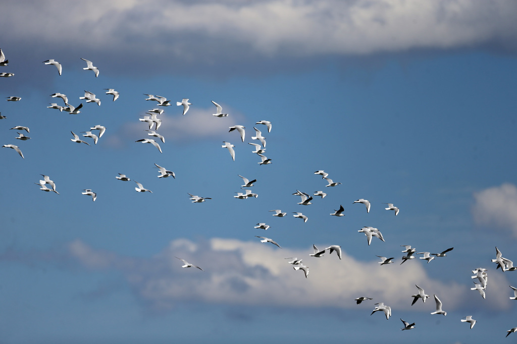 春の青空
