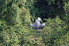 あぐらかいてます