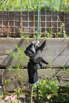 お疲れ様です
