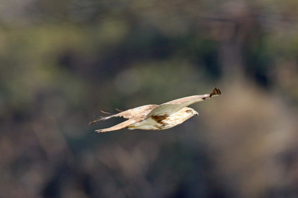 日差しを浴びて