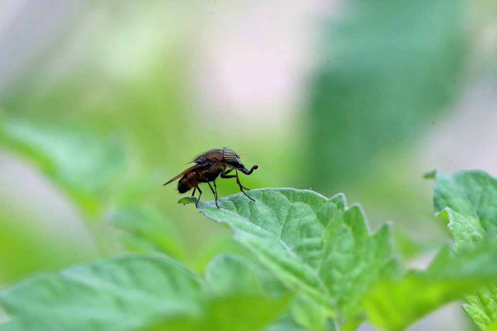 名前わかります