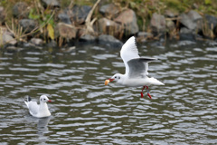 落とさないかな～