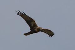 狙いを定めて 狙いを定めて