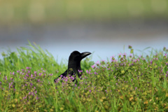 格好のモデルさん