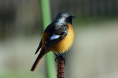 そんなに近寄らないで