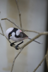 本物そっくりー8