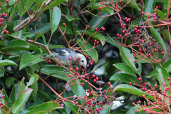 飛び出し前ならよかった