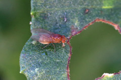 そ～とのぞいて見てごらん♪