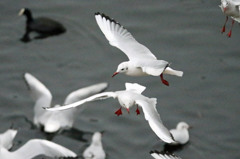 コマ送りのつもりです