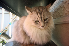 超広角でポートレートその1