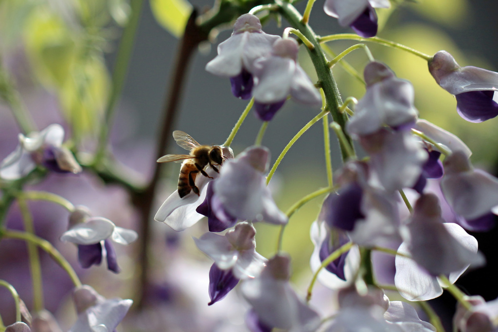 日差しを浴びて