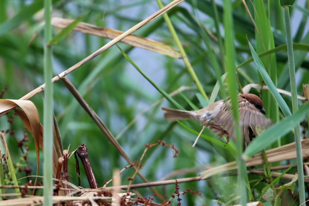 なとかファインダーに入ったよ