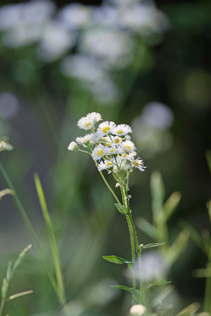 日差しを浴びて