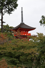 残念あとちょっと