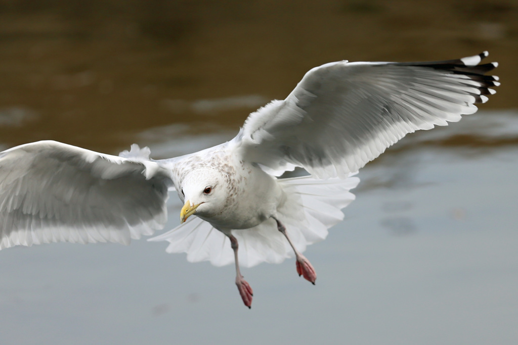 正面シリーズ-3