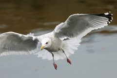 正面シリーズ-3