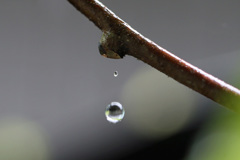 水滴レンズその2