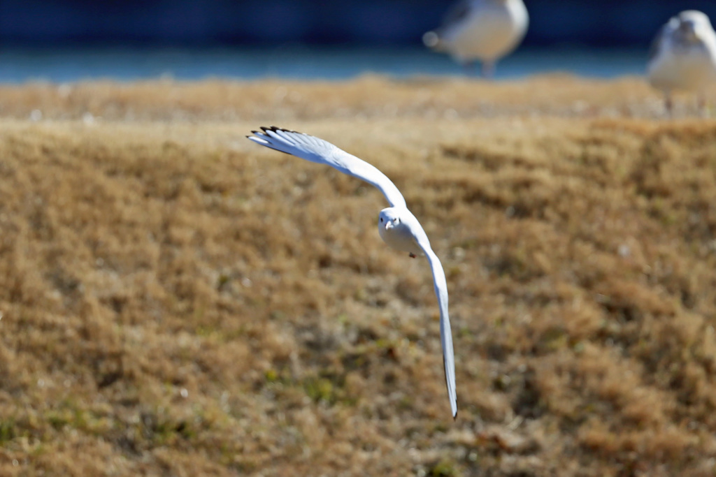 正面シリーズその1