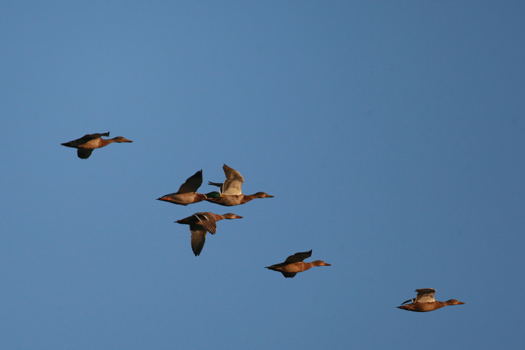 夕陽に向かって