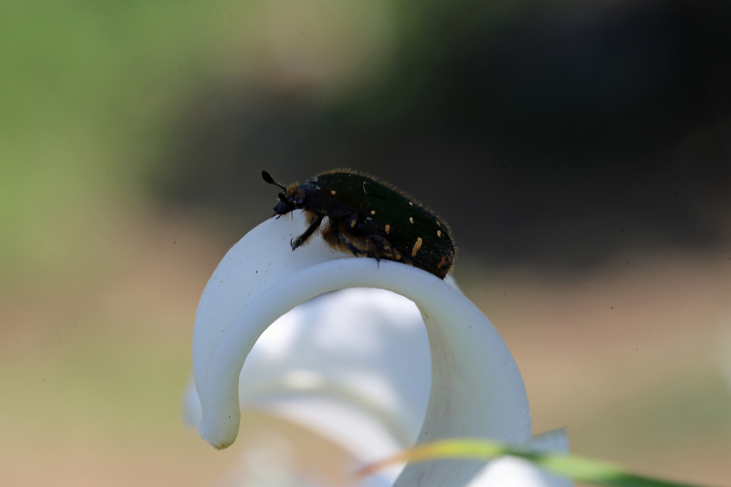 ちょっと涼しいかな