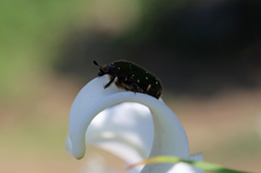 ちょっと涼しいかな