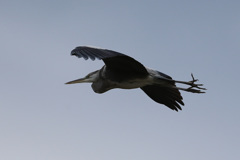 指ひらいてます