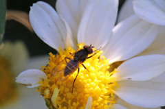 スポットライト