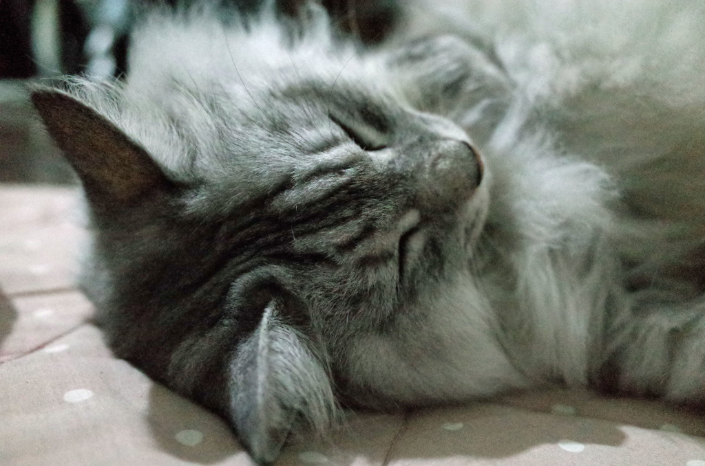 寝違えると首痛いよ