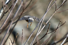 お尻のほうが可愛い
