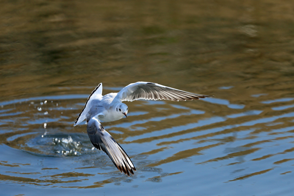 飛び出シ前から-2