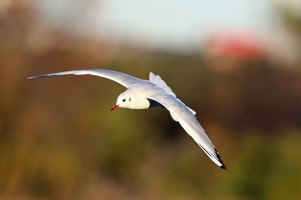 定番ポーズで-2