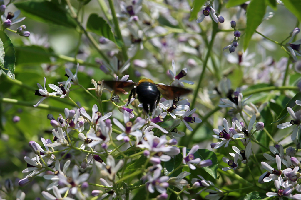 お尻ピカピカ-2